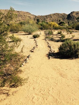 desert-trail-by-sister-amy-taylor