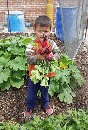 a boy holds fresh garden produce