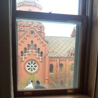 window-pigeons-St.RoseChapel
