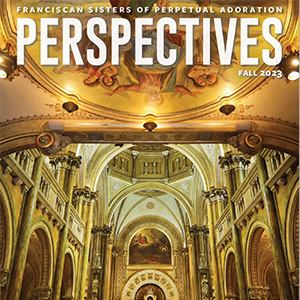 perspectives fall 2023 cover image