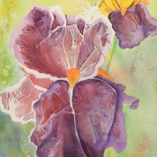 Purple Iris | Watercolor | 2004