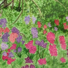 Wild Spring Blossoming | Watercolor | 2004