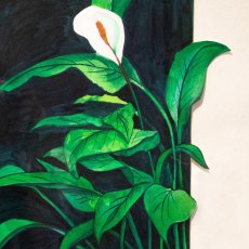 Calla Lily | Watercolor | 1999