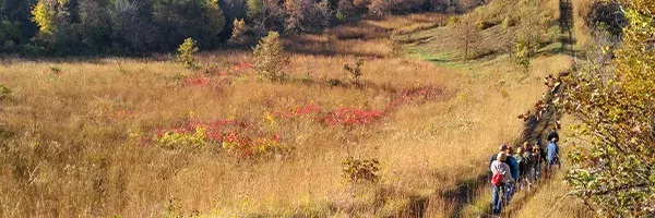 guests walking on land at the naturalist school