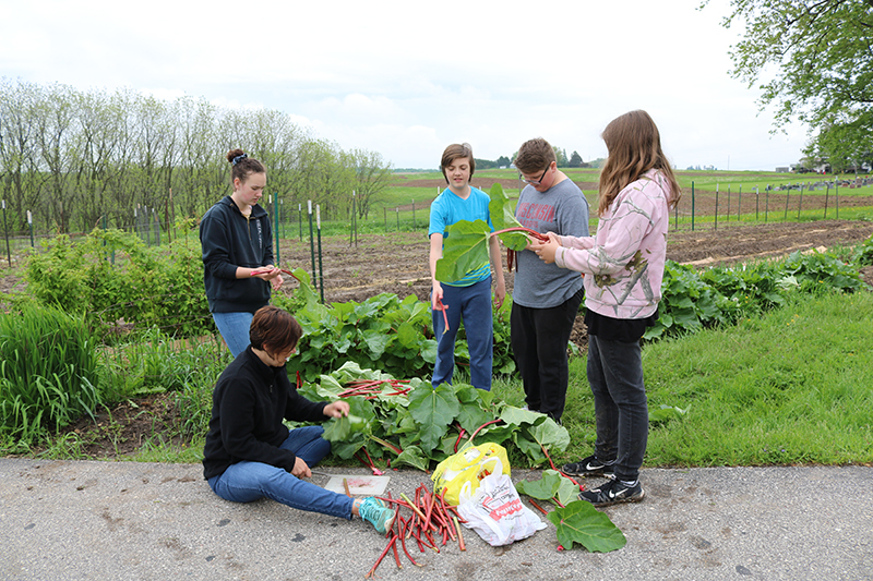 longfellow students and teacher in organic garden at Villa St. Joseph