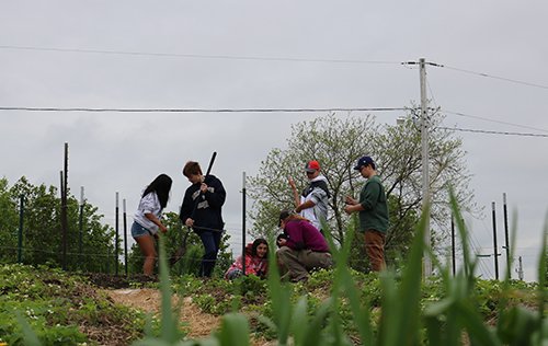 Longfellow students volunteer