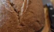 Basic Whole Wheat Bread