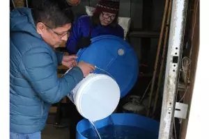Making maple syrup
