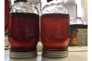 Maple Syrup