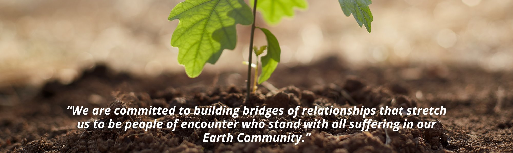 Seeding a Legacy of Healing