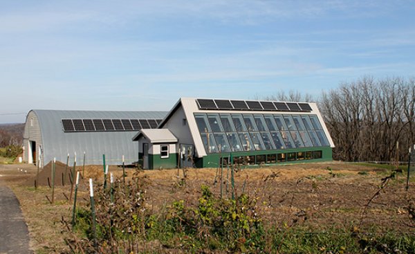 garden and green house