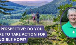 My Perspective: Do you dare to take action for tangible hope?