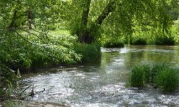 Creek Cleanup in Honor of Sister Water (Prairiewoods)
