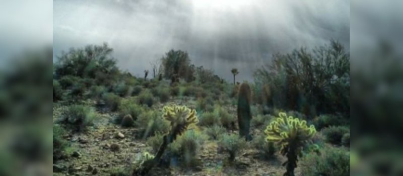 Light breaking in the desert of Fountain Hills, Arizona