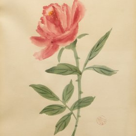 Rose | Ink, Watercolor | Between 1940 to 2005