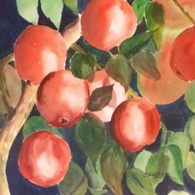 Apples | Watercolor | Between 1979-2000