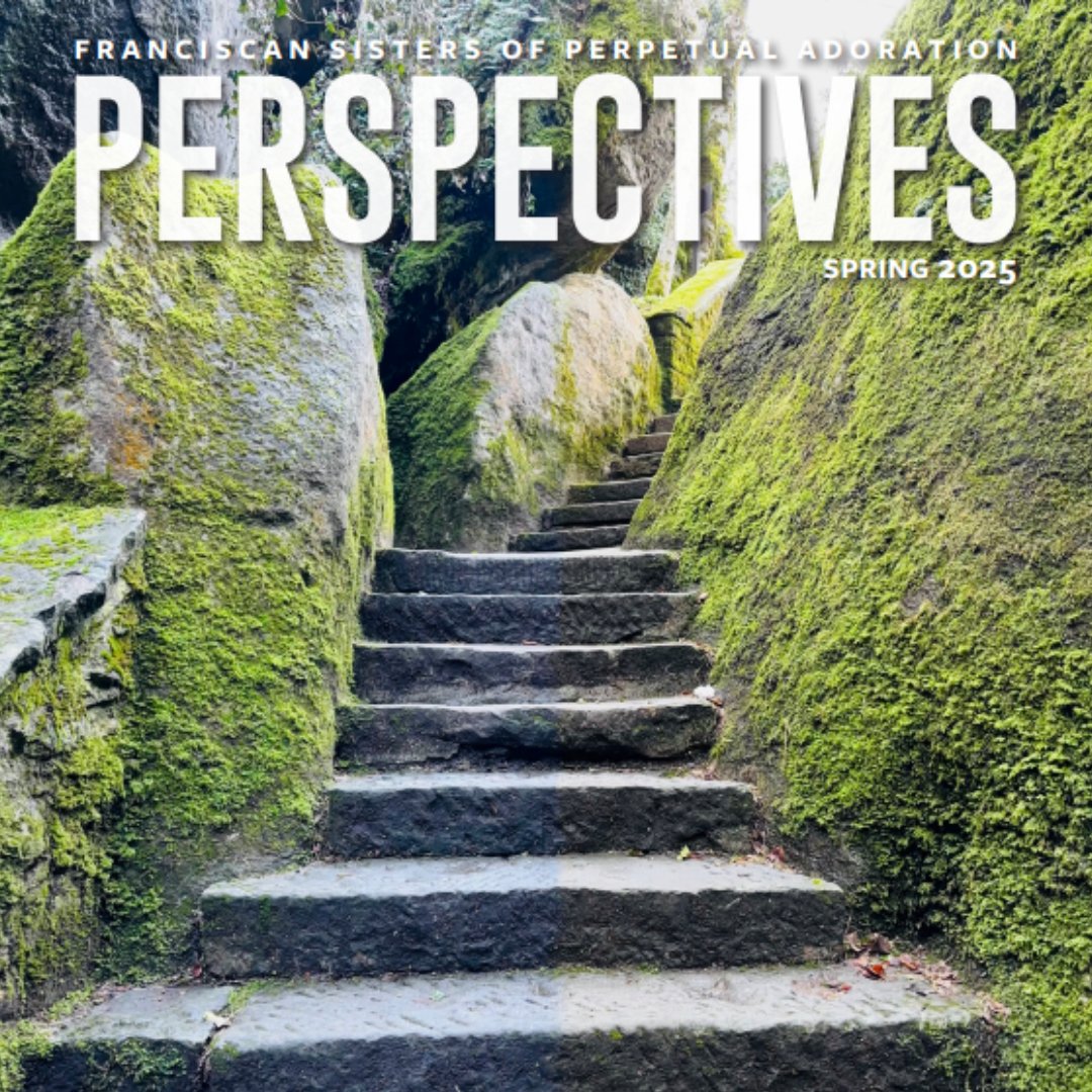 Perspectives Spring 2025 front cover