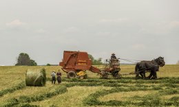 Amish Make Ahead Casserole