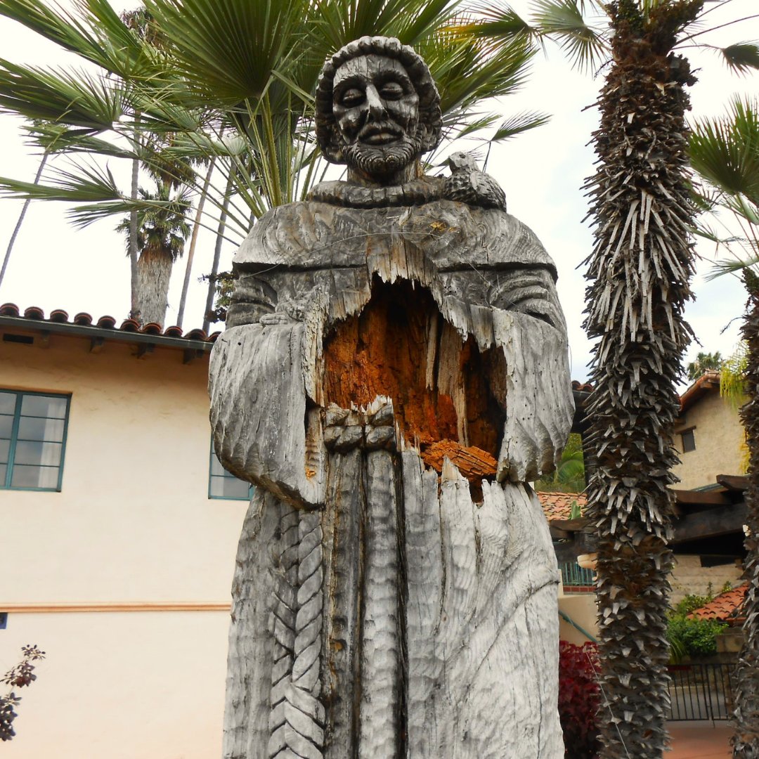 Finding beauty in loss: The Canticle of the Creature