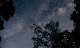 Longest Night (Zoom)