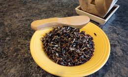 Indigenous Wild Rice Salad for Thanksgiving