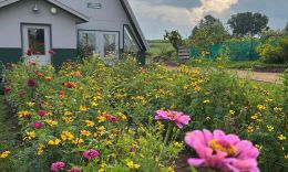 Great Backyard Bird Count: Day 1