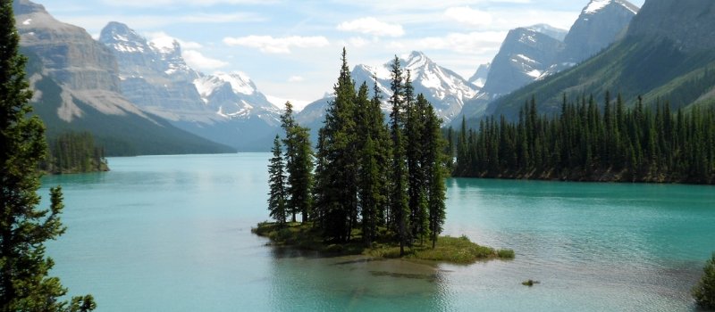 trees rest in the middle of a body of water surrounded by mountains of jasper national park 