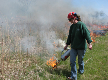 Prairie restoration at Prairiewoods Spirituality Center