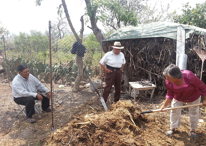 Gardeners in Apaseo el Alto, Guanajuato, Mexico