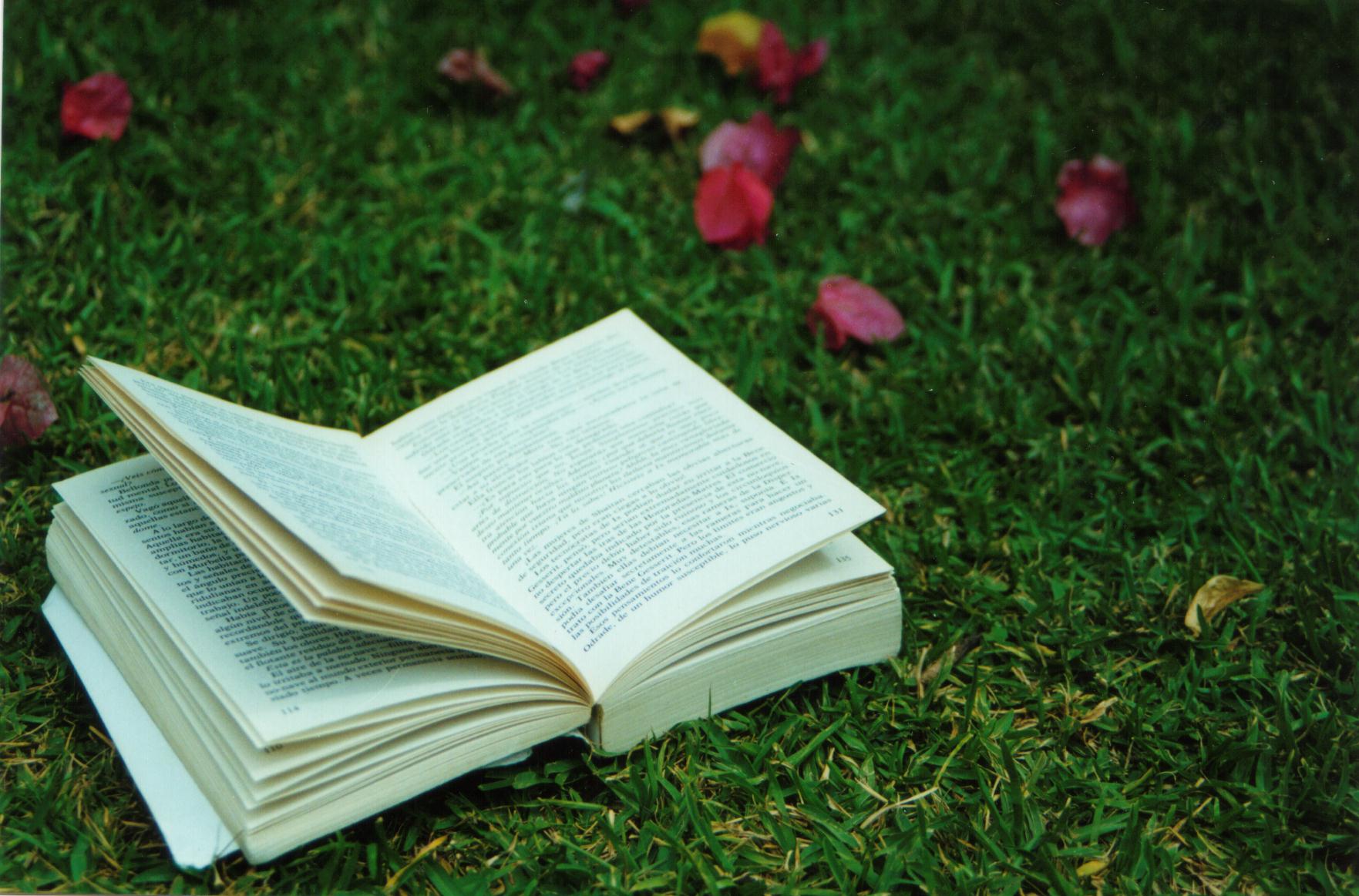 open book on grass