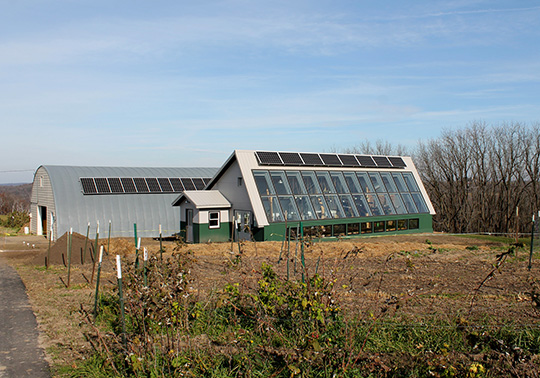 Greenhouse