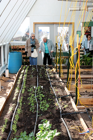 Sisters look over greenhouse plants