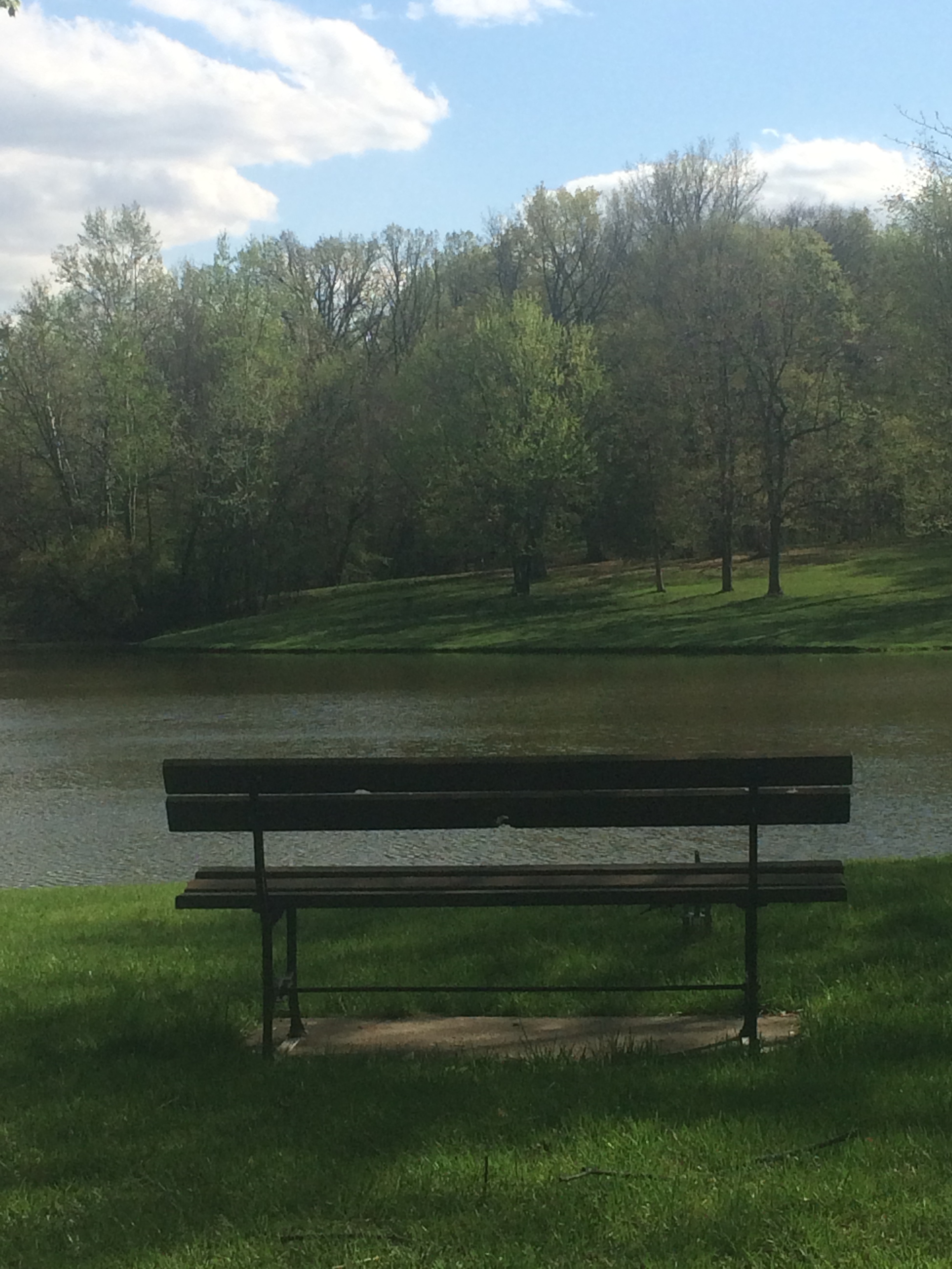 park-bench-overlooking-water