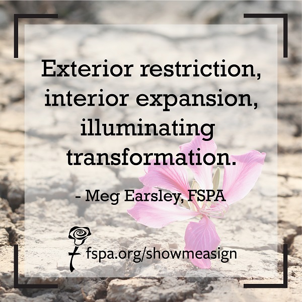 words-exterior-restriction-interior-expansion-illuminating-transformation-pink-flower