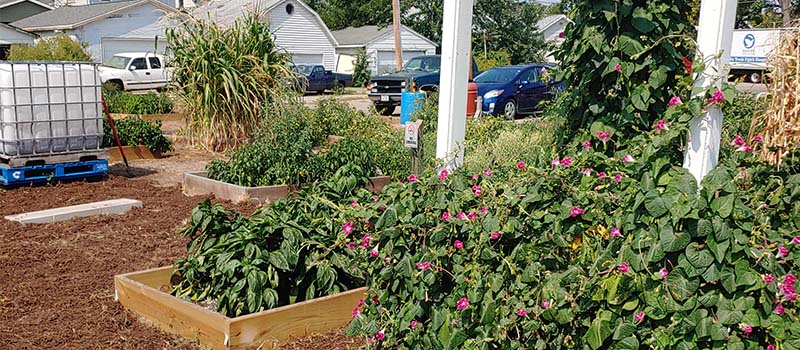 Spirit of Ministry: Affiliate’s ‘deepest core values’ sown in neighborhood garden